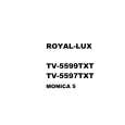 ROYAL TV-5597TXT Instrukcja Serwisowa